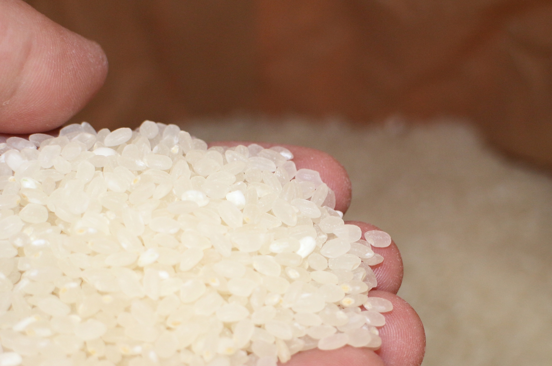 千葉県香取市の米屋で持ち込みでお米の精米、もみ精米/玄米精米の 